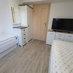 Appartement U Bozeny *