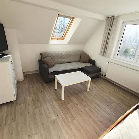 U Bozeny Apartment *